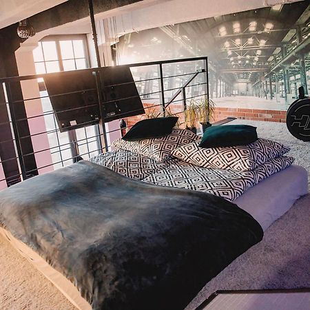 Appartement Loft Przedzalnia à Zyrardow Extérieur photo